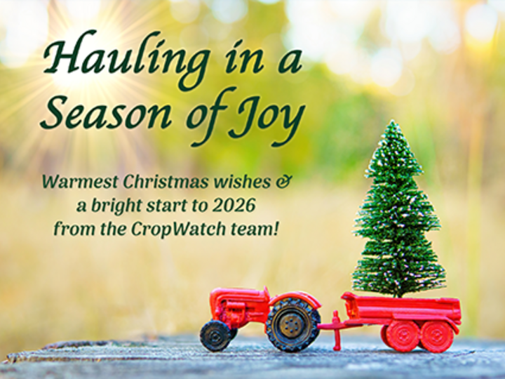 Small red toy tractor pulls a trailer carrying a miniature Christmas tree on a tree stump, with soft sunlight and a holiday greeting over a blurred field background.