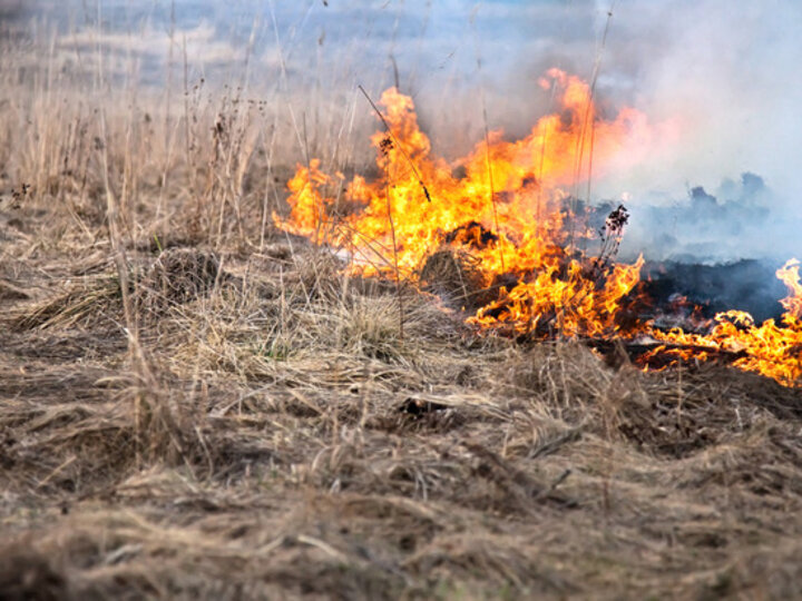 fire spreading in field