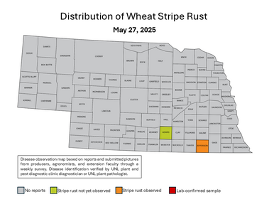 county map of nebraska with highlighted counties for stripe rust