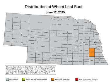 nebraska map with leaf rust infected counties highlighted in orange