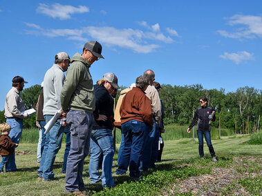 Numerous people stand near a field of clover and newly planted corn listening to a presentation by extension educator Katja Koehler-Cole