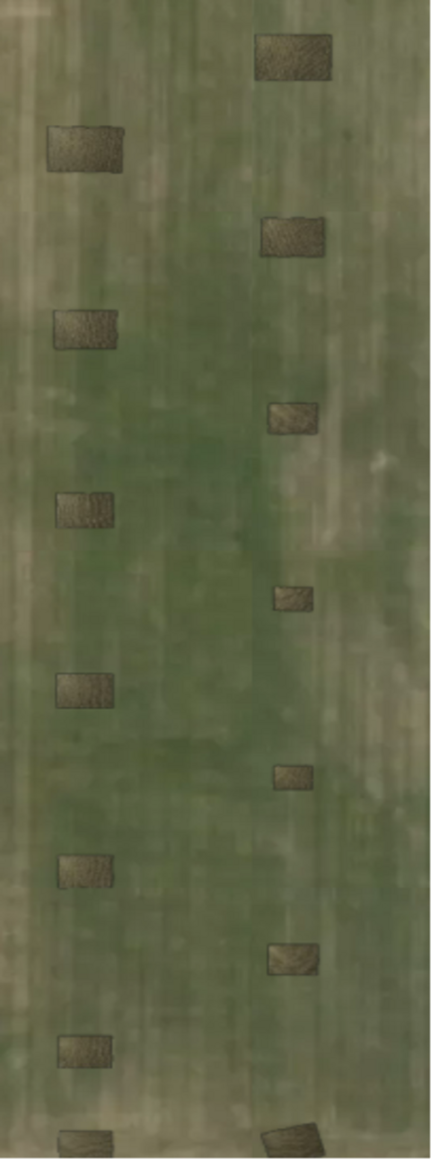 Evaluation of Digital Ag Tools on Soybean Stand Count CropWatch