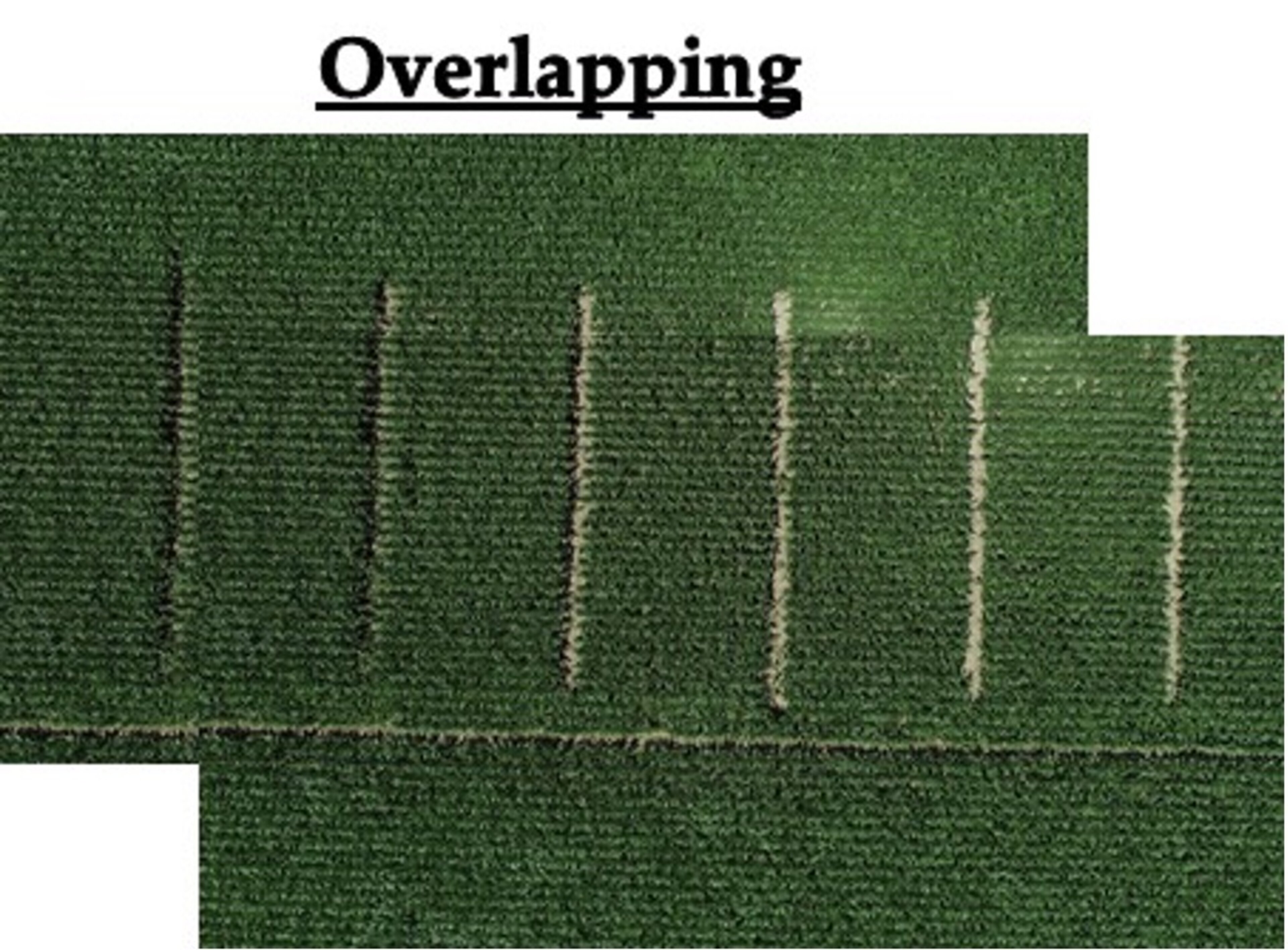 Evaluation Of Digital Ag Tools On Soybean Stand Count Cropwatch