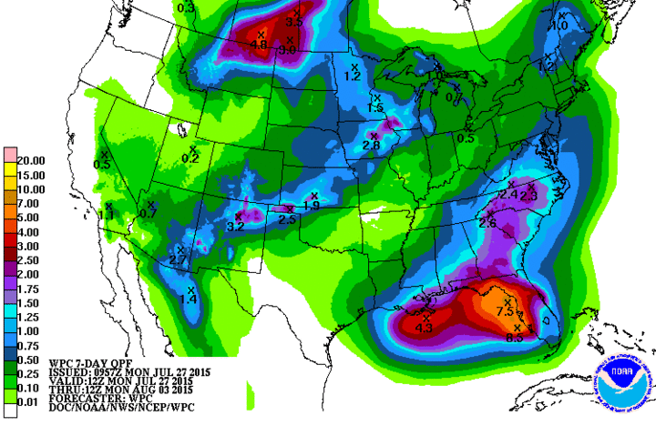 Forecast for precipitation