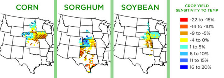 Maps showing how much of the variance in corn, sorghum and soybean yields were due to shifts in temperature and precipitation between 1968 and 2013. Adapted with permission from Scientific Reports/Springer Nature