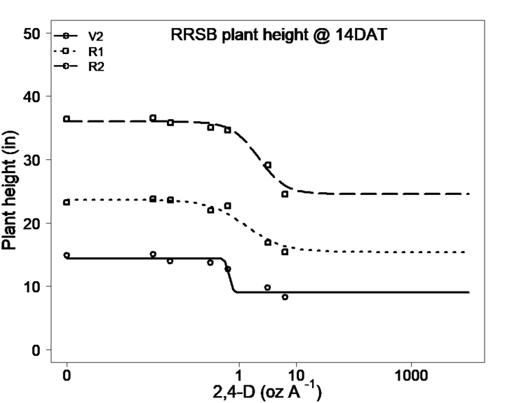 RRSB plant height @ 14DAT
