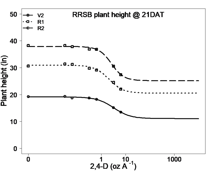 RRSB plant height @ 21DAT