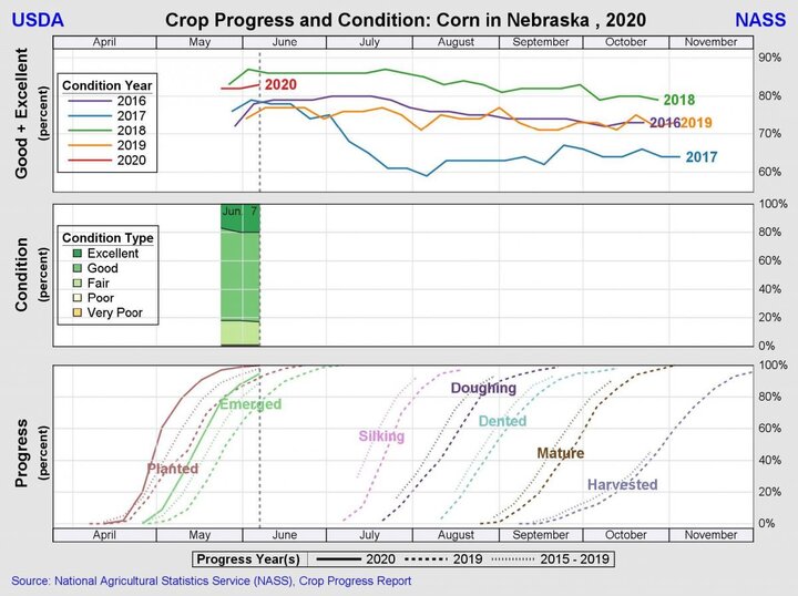 graphs of Progress and condition of 2020 Nebraska corn crop