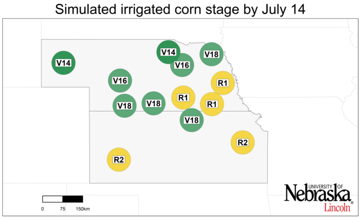 Graph of Simulated developmental stage for irrigated and rainfed corn at each location