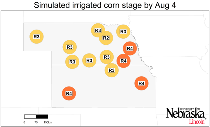 Graph of Simulated developmental stage for irrigated corn at each location