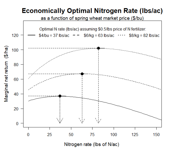 Graph of Economically optimal nitrogen rate (lbs of N/ac) as a function of spring wheat grain market price