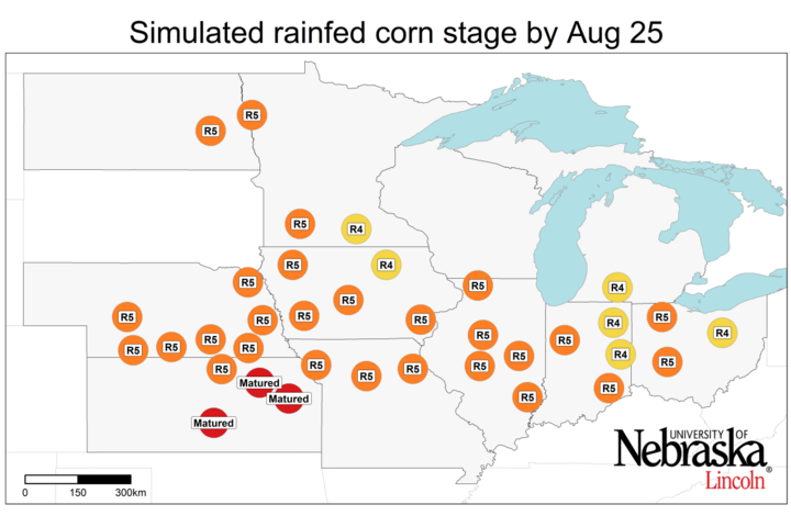 simulated rainfed corn stage by August 25