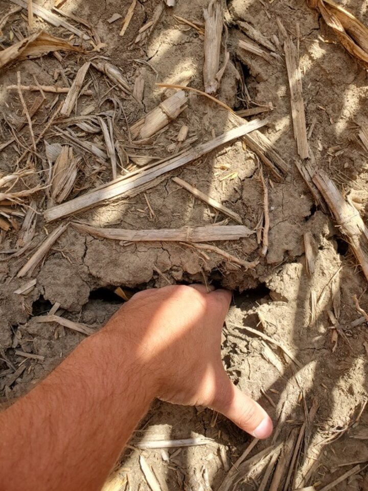 cracks in the ground due to lack of rain