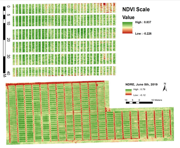 Vegetation index map based on drone imagery