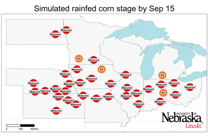 map of Simulated developmental stage for irrigated and rainfed corn 