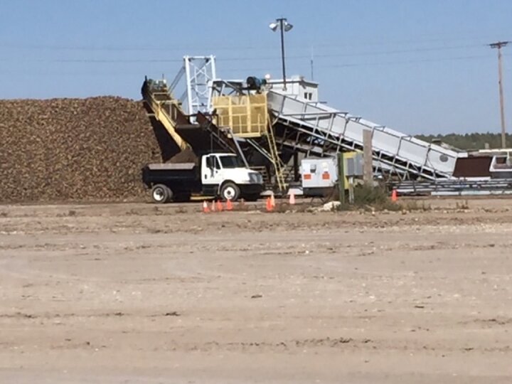 Sugarbeet harvest