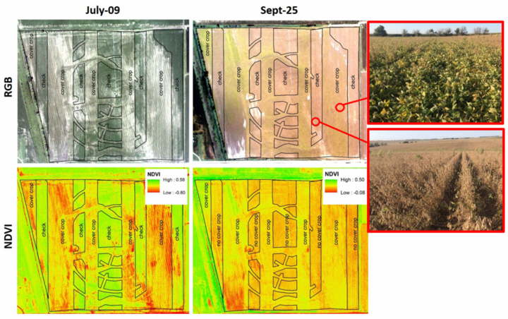 Aerial imagery from July 9 and September 25 