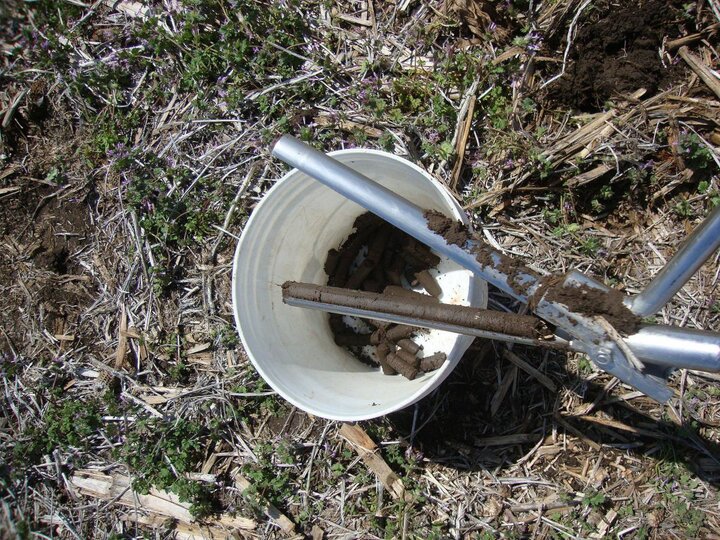 Soil sample tool