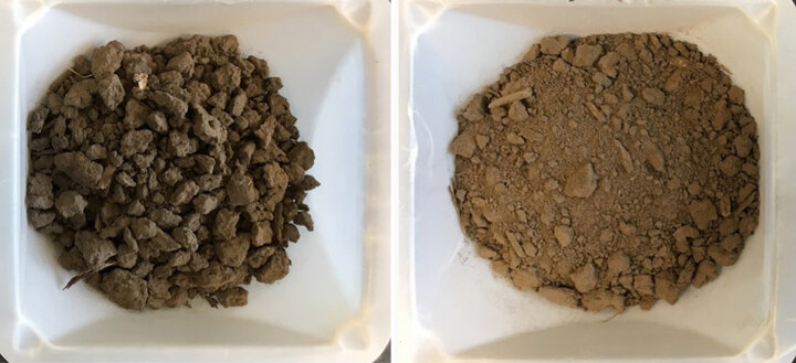 Soil samples