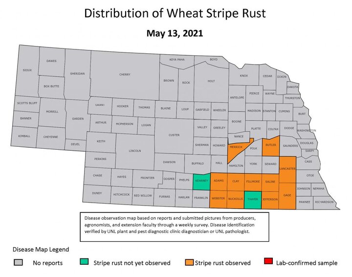 Stripe rust in Nebraska map