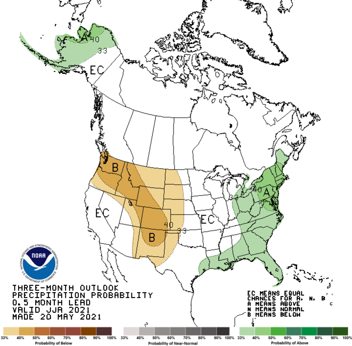 Precip forecast