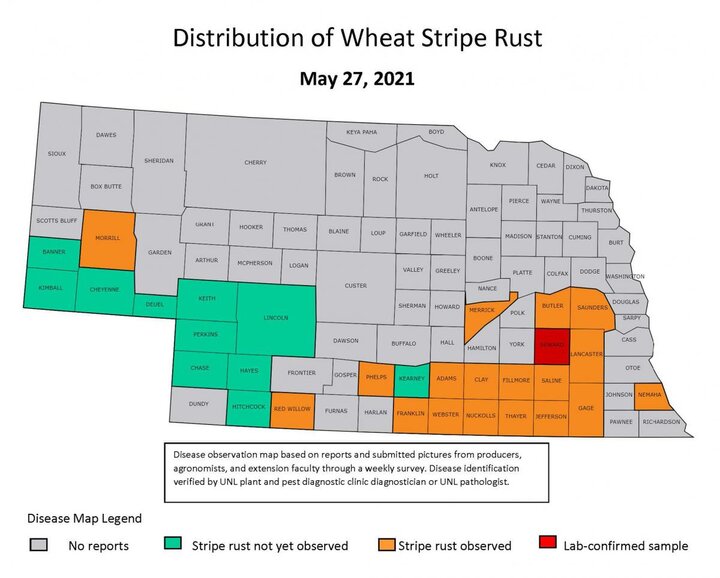 Stripe rust map May 27