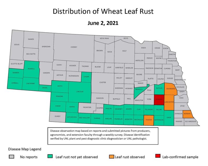 Leaf rust map