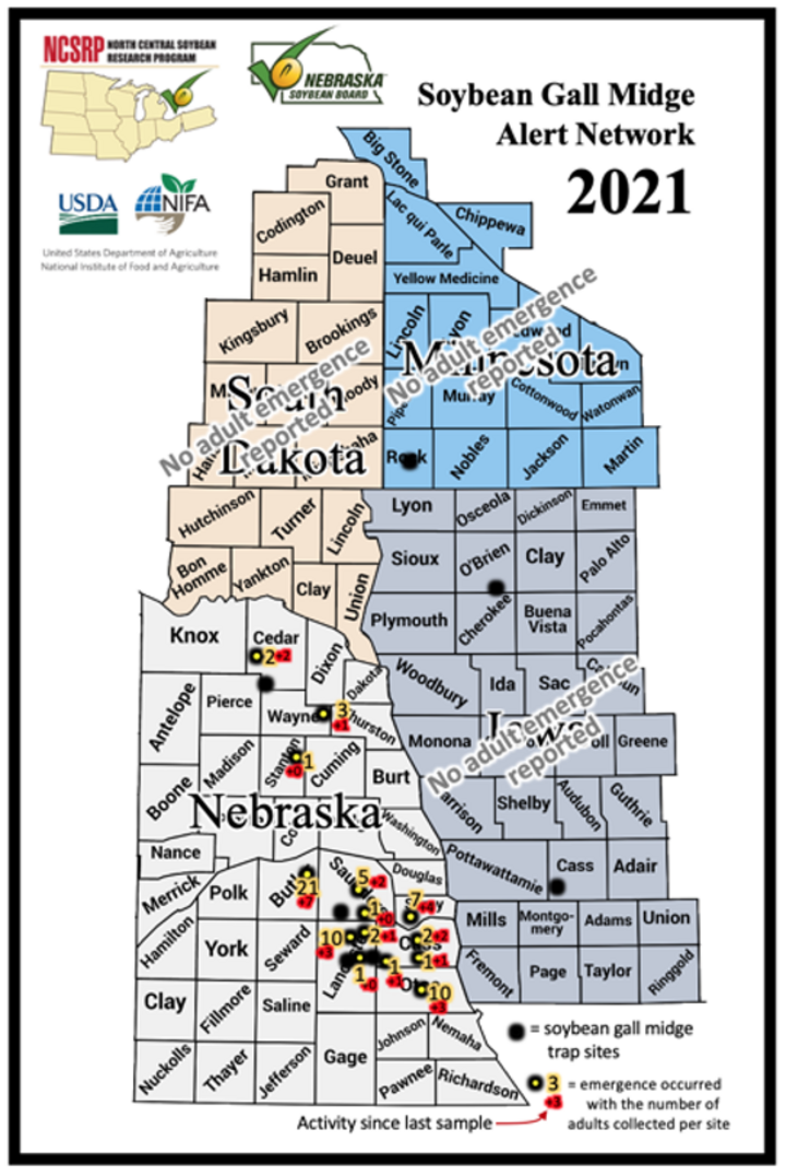 Soybean gall midge infestation map