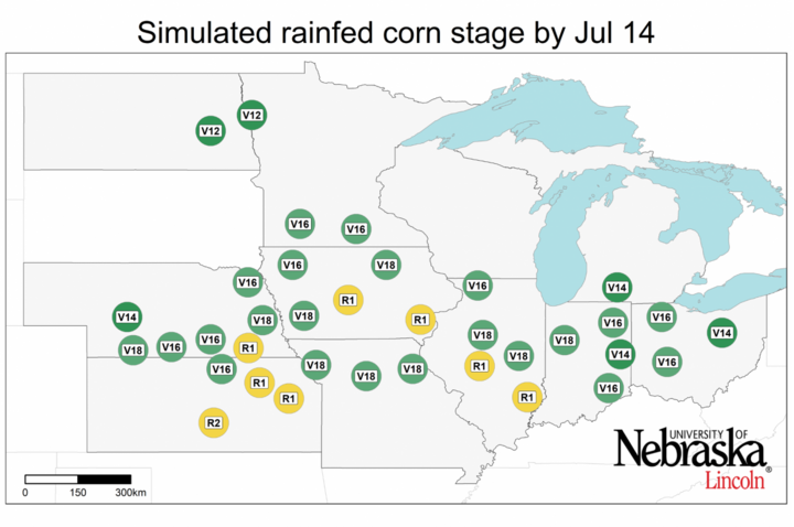 Graph of Simulated developmental stage for irrigated and rainfed corn at each location