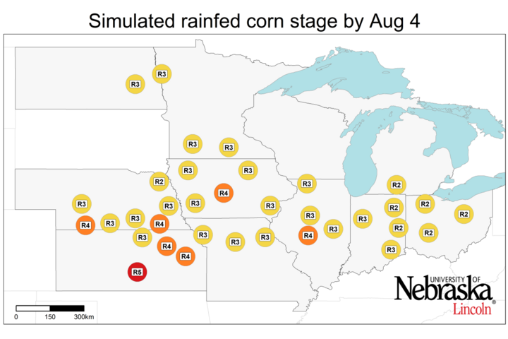 Graph of Simulated developmental stage for irrigated and rainfed corn at each location