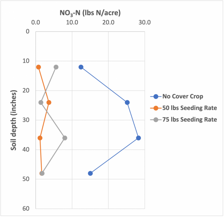 Cereal rye cover crop seeding rate effects on nitrogen