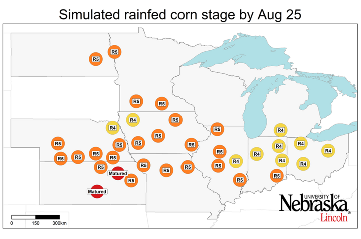 Graph of Simulated developmental stage for irrigated and rainfed corn at each location