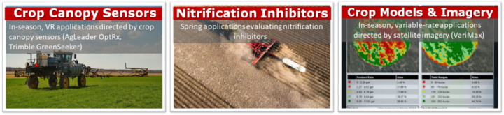 Crop Canopy Sensors, Nitrification Inhibitors, Crop Models and Imagery