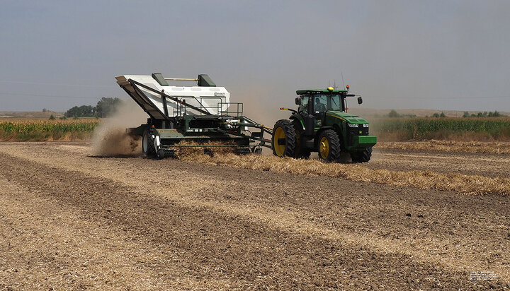 Dry bean harvest combine