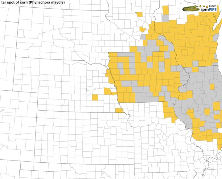 Tar spot map