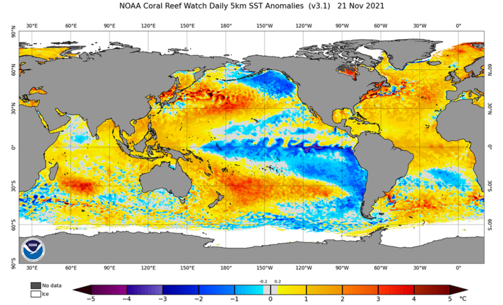 Sea surface temperature anomaly map