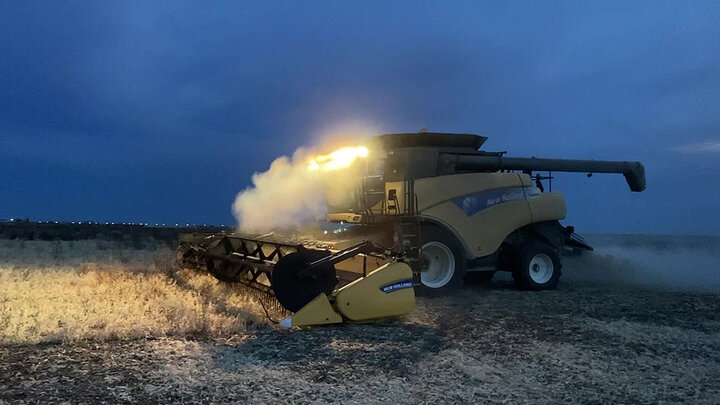 Combining dry beans