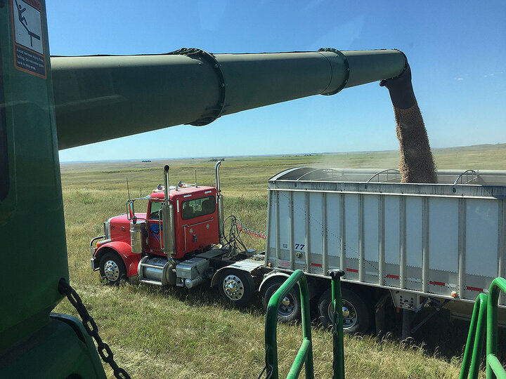 Unloading dry beans