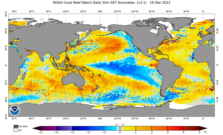 Sea surface temp anomalies