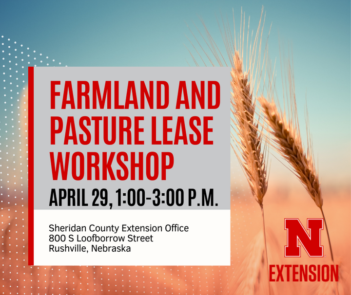Workshop banner