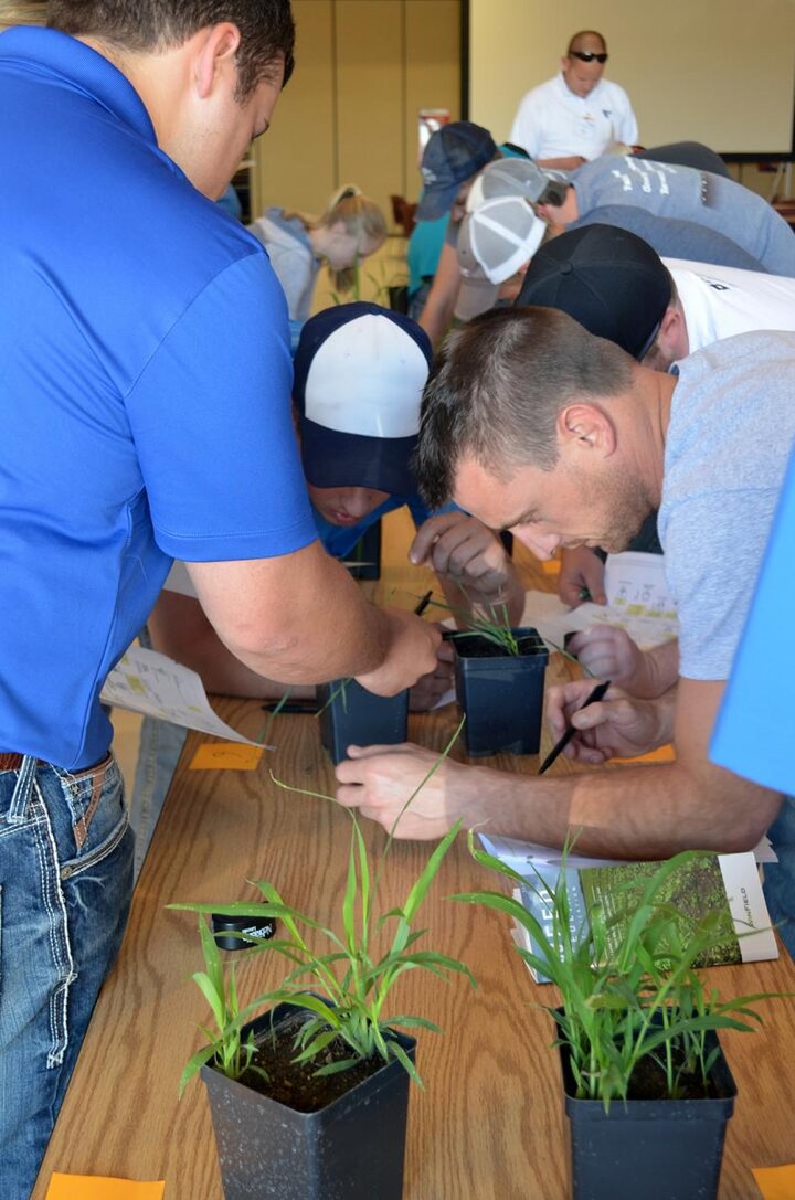 Crop scout training attendees