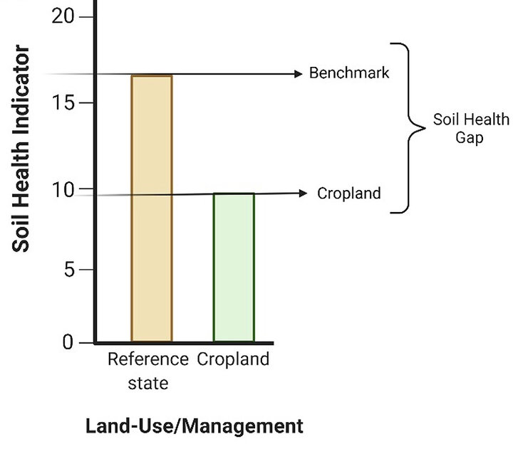 Soil Health Gap indicator values