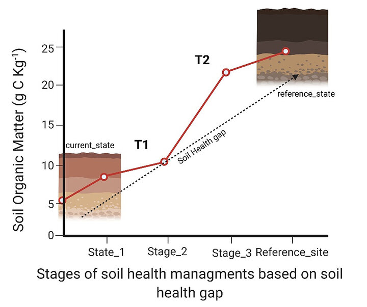 Soil organic matter stages