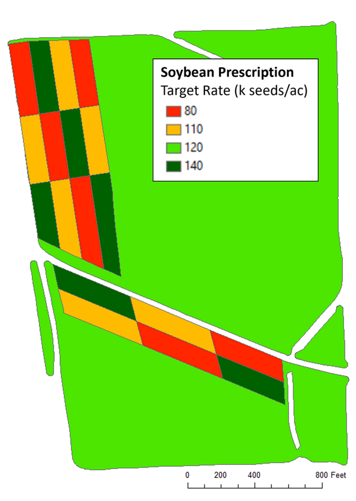 Soybean seeding rate