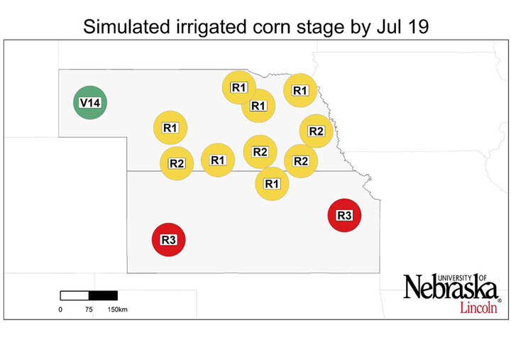 Graph of Simulated developmental stage for irrigated and rainfed corn at each location