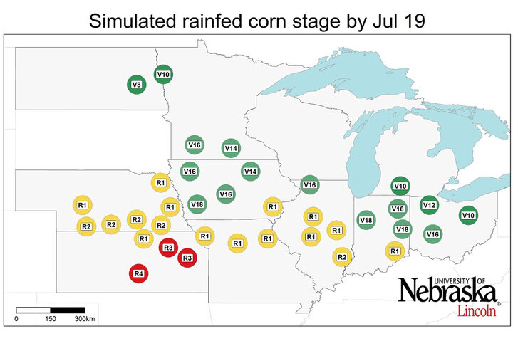 Graph of Simulated developmental stage for irrigated and rainfed corn at each location