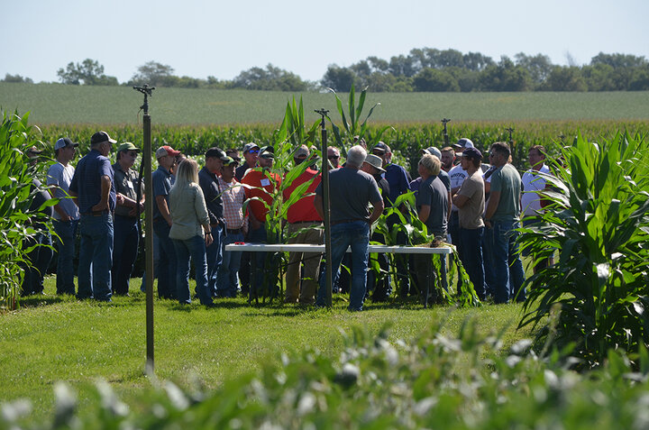 Corn clinic