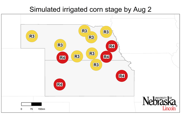 Graph of Simulated developmental stage for irrigated and rainfed corn