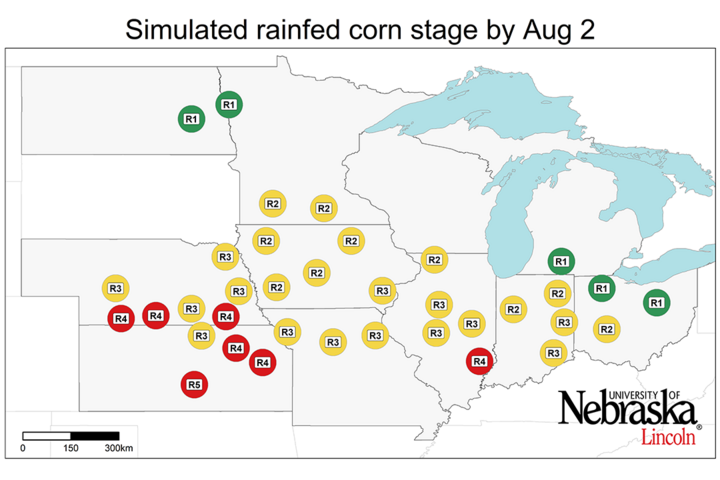 Graph of Simulated developmental stage for irrigated and rainfed corn