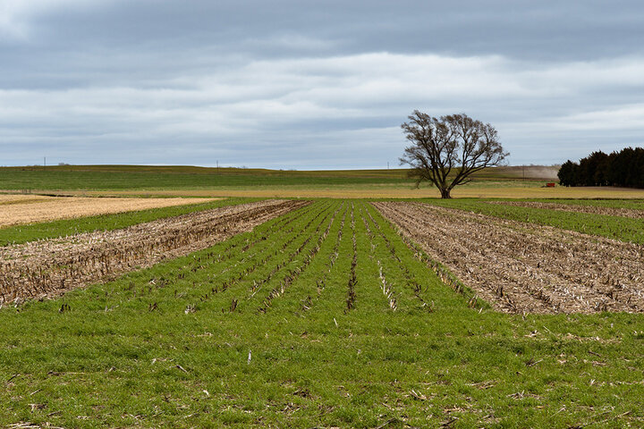 Obermeyer farm